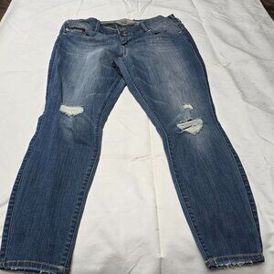 Premium Torrid Jeggings